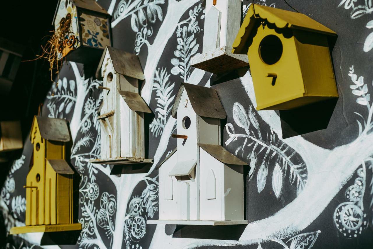 Yellow Door Bloemfontein Exterior foto